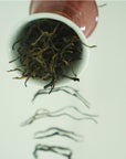 易武古樹紅茶