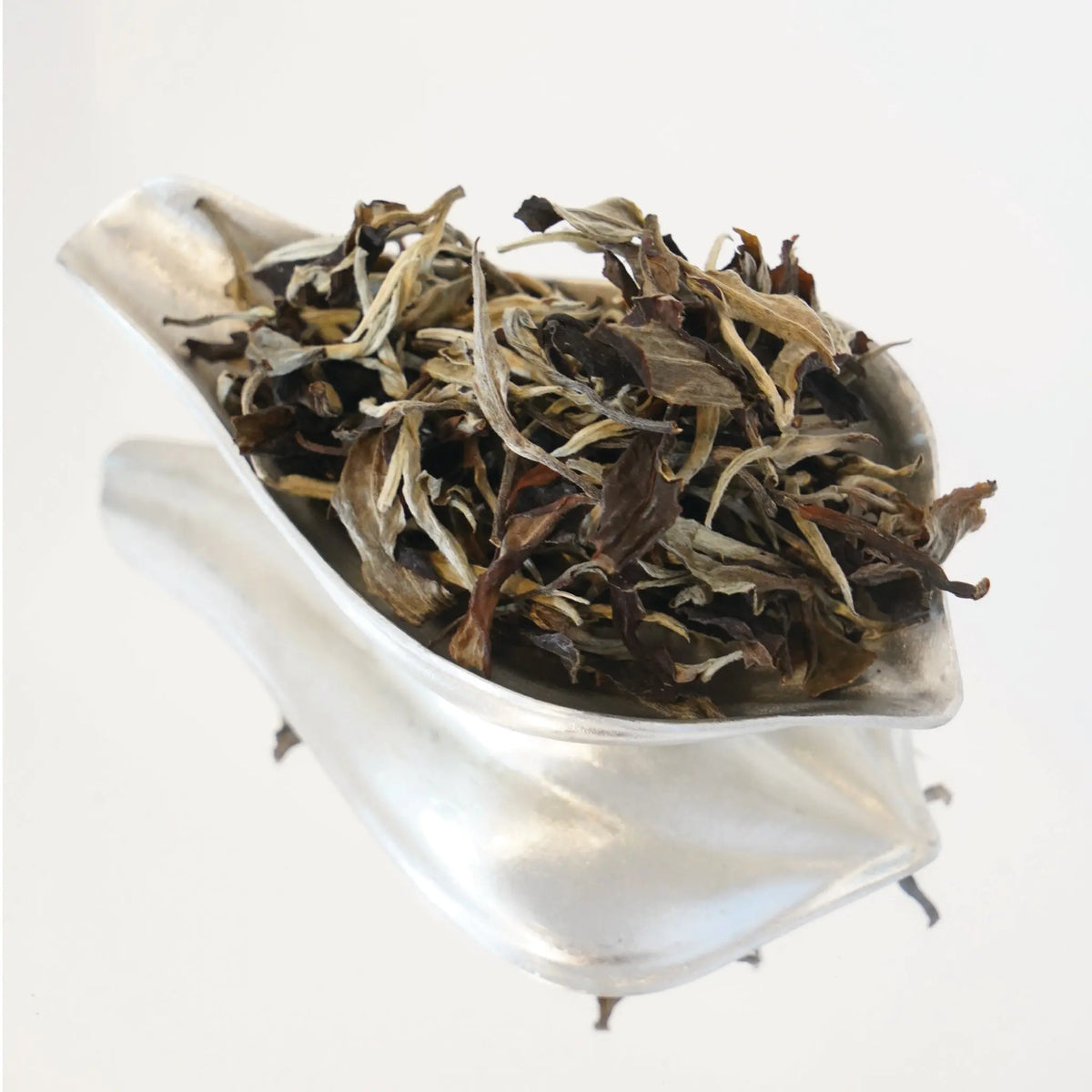 Tealf 易武嫩芽古樹白茶 - 完整古樹嫩芽特寫，保證乾淨無農藥，高品質原葉採摘。