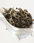 Tealf 易武嫩芽古樹白茶 - 完整古樹嫩芽特寫，保證乾淨無農藥，高品質原葉採摘。