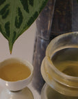精選古樹白茶系列 Tealf: Wellness Ritual For Body, Mind & Space 